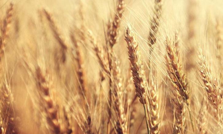 foto voor brouwerij eigenwijs